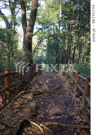 高尾山稲荷山コースの登山道 96745744
