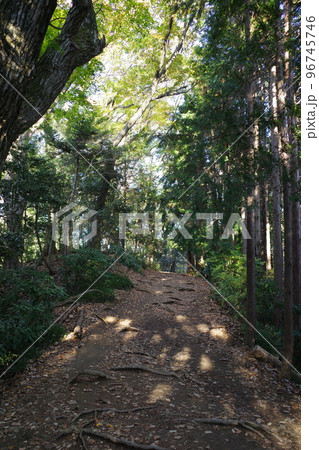 高尾山稲荷山コースの登山道 96745746