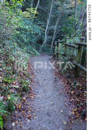 高尾山稲荷山コースの登山道 高尾山稲荷山コースの登山道 96745750