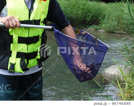網で魚を捕まえるイベント ~ Catching fish with event 網で魚を捕まえるイベント ~ Catching fish with event 96746890