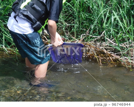 魚好きのためのイベント ~ Events for fish lovers 魚好きのためのイベント ~ Events for fish lovers 96746944