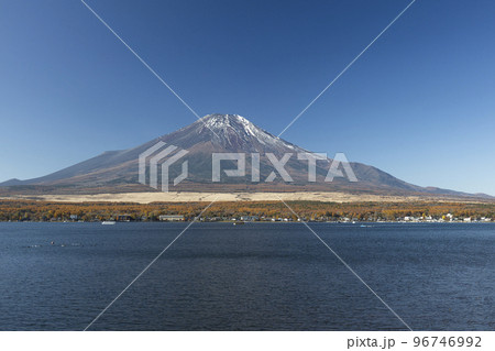 山中湖長池親水公園から晩秋の富士山　11月 96746992