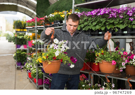 Man arranging potted flowers in garden store 96747269
