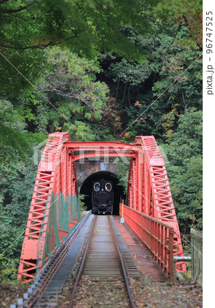 秋のマイントピア別子、打除鉄橋をゆく鉱山観光列車（帰路） 96747525