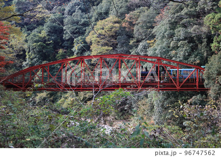 秋のマイントピア別子、打除鉄橋を渡る鉱山観光列車 96747562