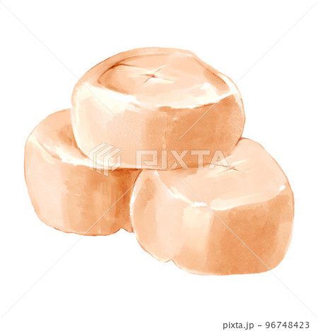 帆立の貝柱 手描きイラスト 帆立の貝柱 手描きイラスト 96748423