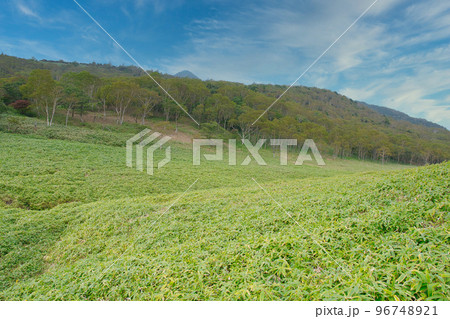 美しい日本の山の風景 美しい日本の山の風景 96748921