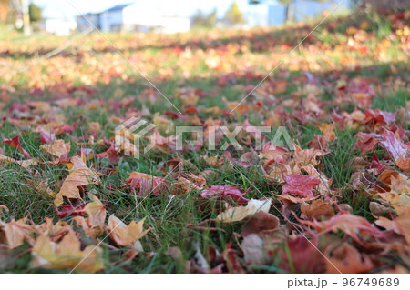 秋の終わり 96749689