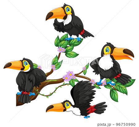 Toucan bird on a tree branch 96750990