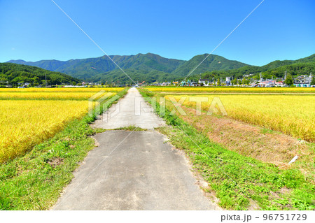 ふるさと公園あおき方面を望む(長野県青木村)【2021.9】 96751729
