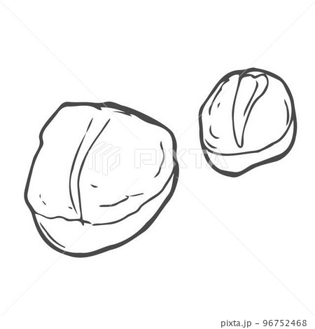 Scallop fillet cooked or raw in monochrome sketch style, vector illustration isolated on white background. Hand drawn retro seafood clam for restaurant or cafe menu design. 96752468