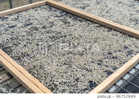 しらす干し しらす干し 96752689