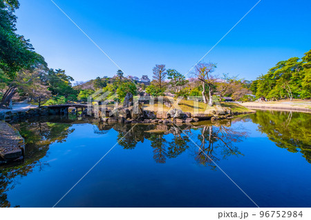 彦根城の日本庭園 玄宮園 96752984