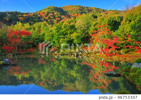 【京都府】シンメトリーな嵐山天龍寺の紅葉（曹源池庭園） 96753307