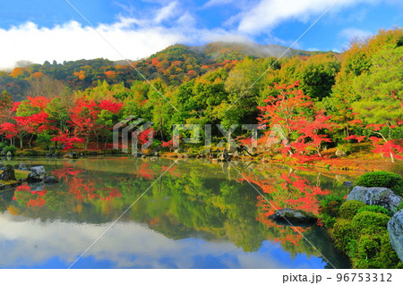 【京都府】シンメトリーな嵐山天龍寺の紅葉（曹源池庭園） 96753312