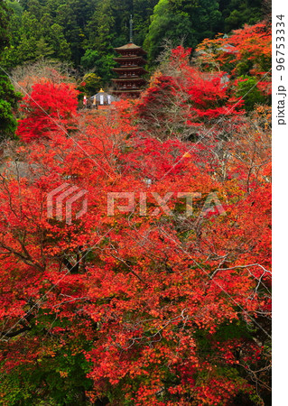 【奈良県】長谷寺本堂の舞台から見た三重塔と紅葉 【奈良県】長谷寺本堂の舞台から見た三重塔と紅葉 96753334