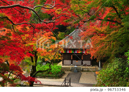 【奈良県】長谷寺弘法大師御影堂と紅葉 【奈良県】長谷寺弘法大師御影堂と紅葉 96753346