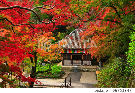 【奈良県】長谷寺弘法大師御影堂と紅葉 【奈良県】長谷寺弘法大師御影堂と紅葉 96753347