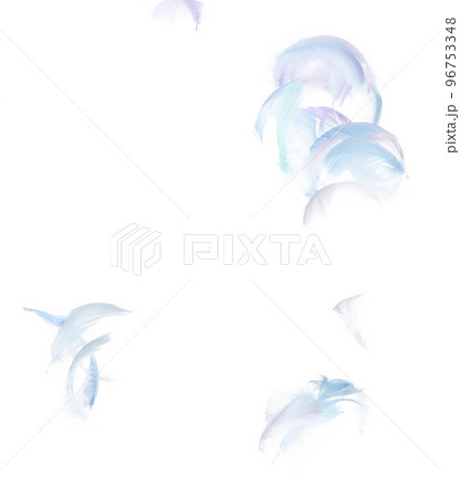Many Pastel Feather fly fall in Air over white background isolated. Puffy Fluffy soft feathers as purity smooth like dream floating dove in sky. Angle flying from heaven, photo motion Many Pastel Feather fly fall in Air over white background isolated. Puffy Fluffy soft feathers as purity smooth like dream floating dove in sky. Angle flying from heaven, photo motion 96753348