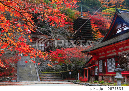 【奈良県】談山神社の紅葉（十三重塔と神廟拝所） 96753354