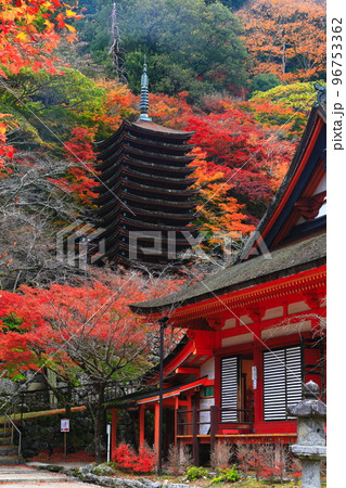 【奈良県】談山神社の紅葉（十三重塔と神廟拝所） 96753362