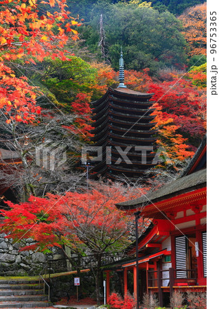 【奈良県】談山神社の紅葉（十三重塔と神廟拝所） 96753365