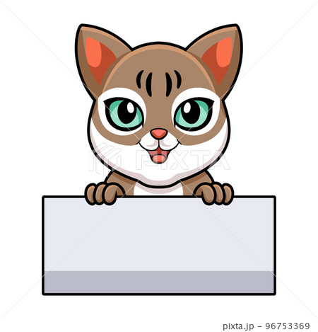 Cute singapura cat cartoon holding blank sign 96753369