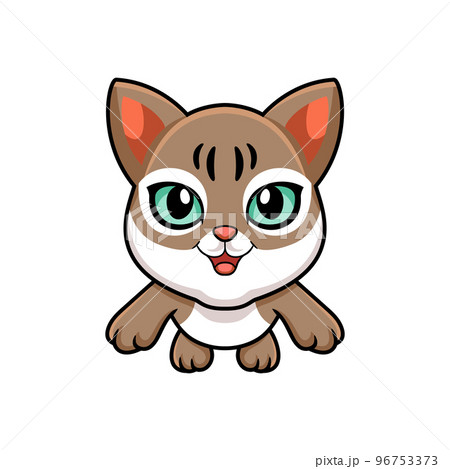 Cute singapura cat cartoon flying 96753373