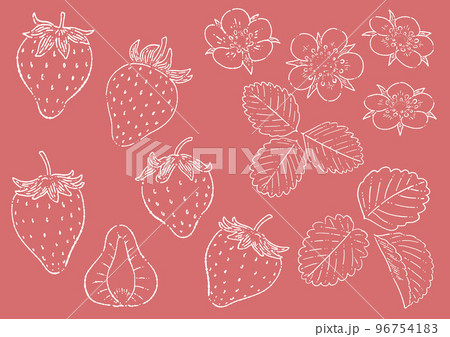 苺の線画イラスト素材 96754183