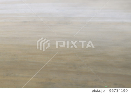 竹の種類・ホウライチク（蓬莱竹）の皮の背景素材 96754190