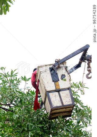 Cut the tree 1 96754289