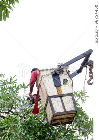 Cut the tree 2 96754400