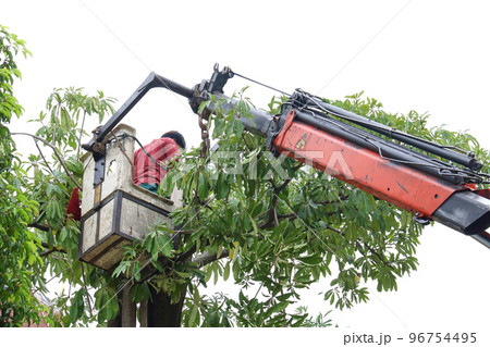 Cut the tree 4 96754495