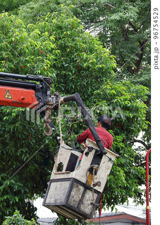 Cut the tree 6 96754529