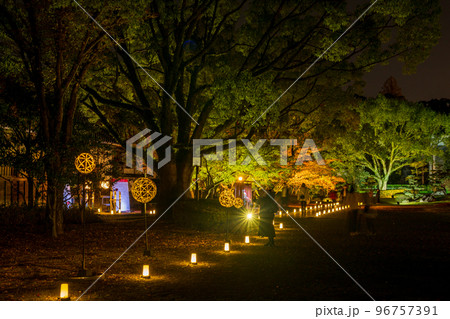 秋の夜紅葉の熊本城と細川刑部邸のライトアップと熊本城のお城祭り 96757391
