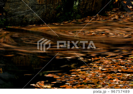 【北海道美瑛町】水面の落ち葉 96757489