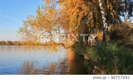 A tree with red and yellow leaves by the lake. World of beauty. Beautiful sunset A tree with red and yellow leaves by the lake. World of beauty. Beautiful sunset 96757892