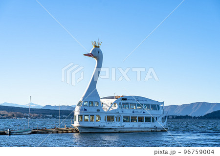 山中湖の白鳥の湖 96759004