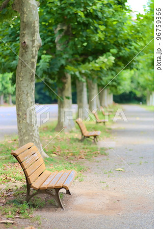 公園で立ち並ぶ木製ベンチ 公園で立ち並ぶ木製ベンチ 96759366