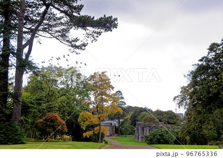 Twelve sided Chapter House - monastic ruins - Margam Country Park Twelve sided Chapter House - monastic ruins - Margam Country Park 96765336