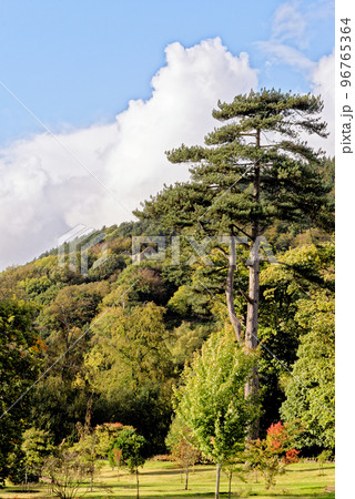 Margam country park garden - Margam Country Park 96765364