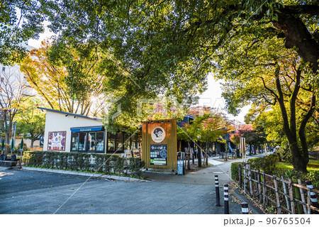 《愛知県》名古屋市 紅葉の名古屋城金シャチ横丁宗春ゾーン 《愛知県》名古屋市 紅葉の名古屋城金シャチ横丁宗春ゾーン 96765504