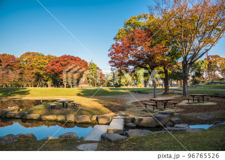 《愛知県》名古屋市 紅葉の名城公園 《愛知県》名古屋市 紅葉の名城公園 96765526