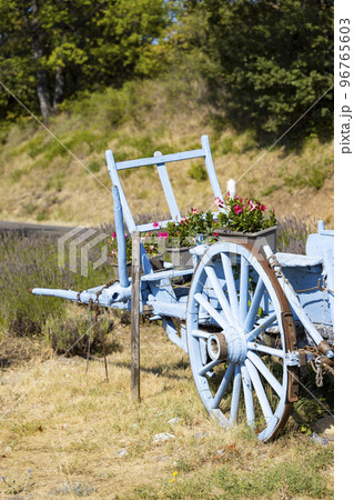 blue wooden cart with lavenders 96765603