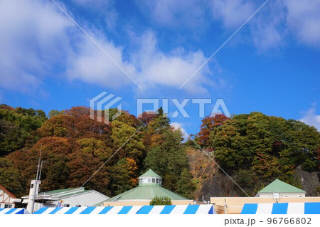 道の駅みなかみ水紀行館　清流公園　紅葉 96766802