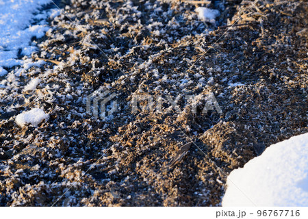 冬の雪模様 96767716