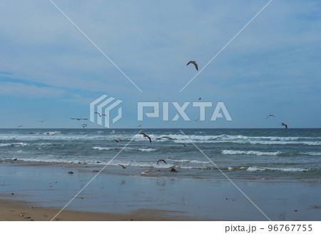 View of empty beach with pebble stones, ocean waves and flying of seagulls at wild Rota Vicentina coast near Porto Covo, Portugal. View of empty beach with pebble stones, ocean waves and flying of seagulls at wild Rota Vicentina coast near Porto Covo, Portugal. 96767755