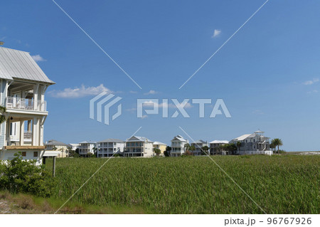 Field of tall grasses in the middle of large house buildings at Destin, Florida Field of tall grasses in the middle of large house buildings at Destin, Florida 96767926