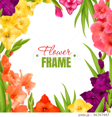 Realistic Gladiolus Frame Realistic Gladiolus Frame 96767997