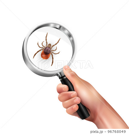 Realistic Spider Mite Lens Composition 96768049